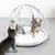 Tapis d’éveil pour chatons avec arches en tissu gris, jouets suspendus (peluche, plume, boule argentée), trois chatons tigrés visibles en train de jouer sur le tapis.