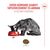 Royal Canin Fussy Exigent
