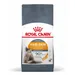 Royal Canin Feline -säästöpakkaus - 2 x 10 kg Hair & Skin Care