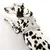 Dalmatier draagt een grijs hondentuigje met verstelbare banden en metalen ring. Merk: Trixie.