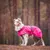 Chien portant un manteau imperméable rose avec harnais noir, marque visible : Rukka. Le manteau couvre le dos et les pattes avant du chien.