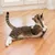 Gato juega con una caña de juguete de madera, cuerda y pluma sobre un suelo laminado.