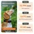 Weenect Tracker GPS XT pour animaux de compagnie pour chien