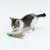 Gatito juega con un juguete de cuerda y tela verde.