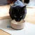 Schwarze Katze trinkt aus einer cremefarbenen Futterschale, die auf einer dekorativen Unterlage mit blauen Blumen und Sternen steht.