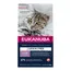 Eukanuba Kitten Grain Free bohaté na lososa - 3 x 2 kg