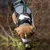 Hond met groen-grijs tuigje en zwarte halsband, geschikt voor buitenactiviteiten. Tuigje met handvat en verstelbare banden zichtbaar.