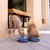 Due cani bevono da ciotole da viaggio pieghevoli blu su una terrazza pavimentata.