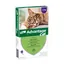 Advantage® 80 pour chat et lapin > 4 kg - 8 mois de protection (2 x 4 pipettes)