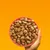 Hand holding a pink bowl filled with brown dry pet food pieces against an orange background. No visible brand or text.