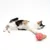 Chat tricolore allongé à côté d’un jouet en forme de cornet de glace rose, surface blanche. Jouet pour chat visible au premier plan.