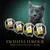 Sheba Select Slices in Gravy shown in four varieties: with turkey, poultry, chicken, and chicken and turkey. Text reads: Excellent flavour that cats just can’t resist.