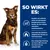 How it works: regulates the dog's energy consumption for safe weight loss, supports fat burning, fibre blend ensures satiety and satisfaction.