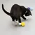 Chat noir et blanc jouant avec une balle texturée jaune, deux autres balles texturées violette et bleue visibles en arrière-plan sur le sol.