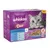 Whiskas Duo Ocean Delights in jelly, 12-pack with salmon and cod, tuna and trout, coley and salmon, whitefish and tuna. Dual flavour. New product.