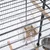 Distributeur transparent en plastique rempli de graines, fixé à l’intérieur d’une cage à oiseaux en métal, avec perchoirs en bois et gamelle métallique visibles.