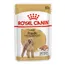 Royal Canin Poodle Adult - 24 x 85 g