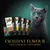 Four Sheba Sauce Collection pouches with a cat and the text: Excellent flavour that cats just can’t resist.