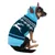 Hund trägt einen blau-grünen Pullover mit Rentier- und Musterdesign sowie Kapuze mit braunen Ohren.