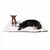 Two dogs lying on a white, fluffy dog mat. Product shows the size and comfort of the mat.