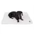 Dog lying on white, fluffy mat with visible logo in the corner.