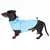 Teckel portant un manteau pour chien bleu clair avec bande réfléchissante et fermeture à scratch, vue de profil sur fond blanc.