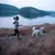 Person jogging with a dog on a lead along a lake. The dog is wearing a harness.