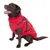 Cane con cappotto rosso con strisce rifrangenti e cinghie regolabili.