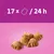 Feeding guide showing 17 pieces of shaped kibble recommended per 24 hours, with five kibble pieces displayed below the instruction.