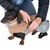 Chien teckel portant un manteau beige et gris avec bande réfléchissante, une personne attache la boucle du manteau. Logo NT visible sur le côté.