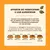 Conseils de transition alimentaire pour chat Lily’s Kitchen : introduction progressive sur une semaine, mélange des aliments anciens et nouveaux, proportions indiquées pour chaque étape, jours 1 à 9.