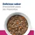 Texto: Delicioso sabor irresistible para las mascotas. Plato blanco con comida húmeda para mascotas, trozos de carne, zanahoria y arroz visibles.