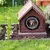 Finestra per recinto TIAKI "Gossip Dog" per cani