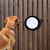 Finestra per recinto TIAKI "Gossip Dog" per cani