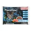 Pawsome Junior 8 x 85 g - Zalm