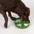 Dog eating from a green anti-gulp bowl with bone-shaped obstacles that promote slow eating.