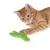 Red tomcat playing with green braided rope toy. Suitable for interactive play and activity.