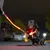 Chien portant un collier et une laisse lumineux rouges en plastique, visibles la nuit lors d’une promenade en extérieur.