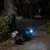 Petit chien en laisse avec une lumière LED attachée à son collier, promené de nuit sur un trottoir par une personne partiellement visible.