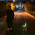 Hond met lichtgevende halsband voor betere zichtbaarheid 's nachts op een donkere straat.