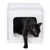 Black cat leaving a white cat cave with a rectangular entrance.