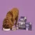 Dog eating from a bowl next to Lily's Kitchen Senior Recipe pet food products, including dry food, wet food tray, tin and treats, all labelled for senior pets.