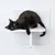 Gatto nero sdraiato su un supporto da parete bianco a due livelli, adatto come superficie per sdraiarsi o aiuto per arrampicarsi.