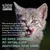 Schesir Born Carnivore. Stillen Sie das Verlangen Ihrer Katze nach Fleisch mit einer proteinreichen Mahlzeit, die einer Ernährung mit natürlichen Beutetieren nahekommt.