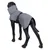 Manteau imperméable gris pour chien présenté sur un mannequin canin noir, fermeture à clip visible sur le dos, col montant, tissu lisse sans motif apparent.
