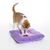Katze spielt auf einem lila Plüschkissen mit integriertem Spielzeug und Feder. Produkt zeigt Nutzung eines interaktiven Katzenspielkissens.