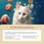 Produktbeschreibung: Ausgewogene Ernährung für Katzen. Raffinierte Portionen ohne Soja, Zucker, Farb-, Aroma- und Konservierungsstoffe. Mit Vitaminen D3, E und Taurin für Gesundheit.