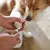 Hand holding dog's paw while nail clipper is used. Demonstration of using a nail clipper for pets.