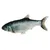 Kerbl Pet hračka pro kočky Jumping Fish - 1 kus