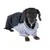 Cane con maglione grigio e mantello nero, adatto come abbigliamento o costume per pet.
